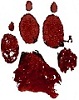 Avatar člena